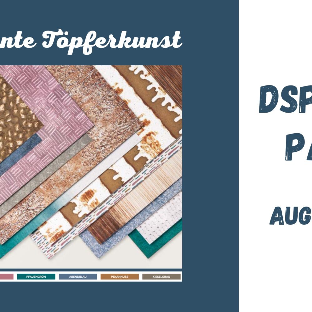 DSP PLUS Paket – 1