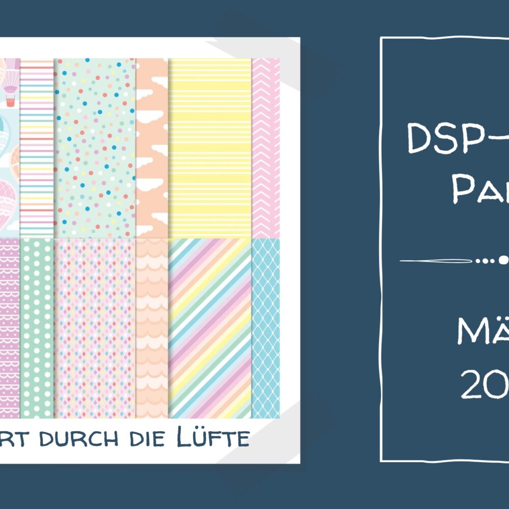 DSP-PLUS Paket – 1
