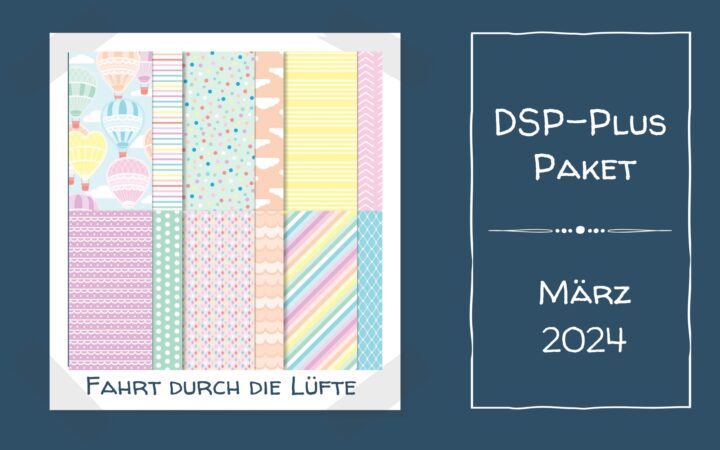 DSP-PLUS Paket - 1