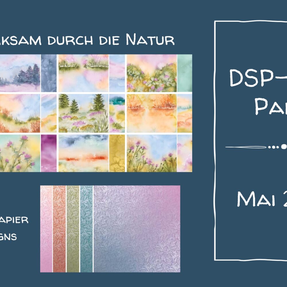 DSP-PLUS Paket – 1