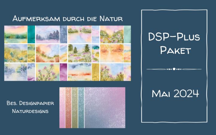 DSP-PLUS Paket - 1
