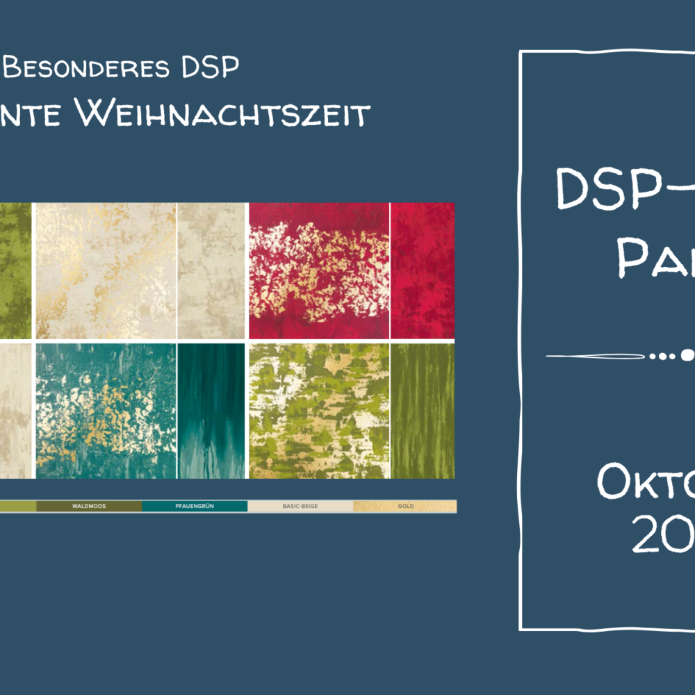 DSP-PLUS Paket