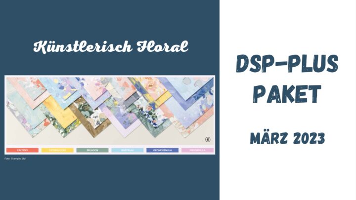 DSP PLUS Paket