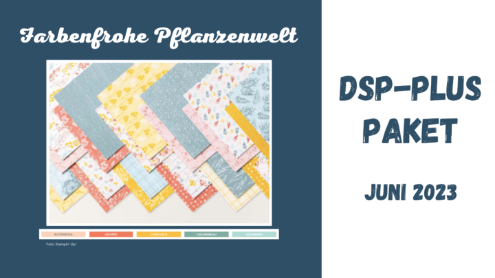 DSP PLUS Paket-Juni