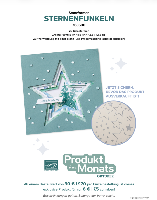 PDM Flyer