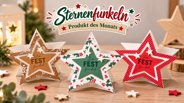 Sternenfunkeln4_TN