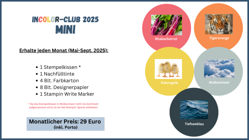 Mini Club