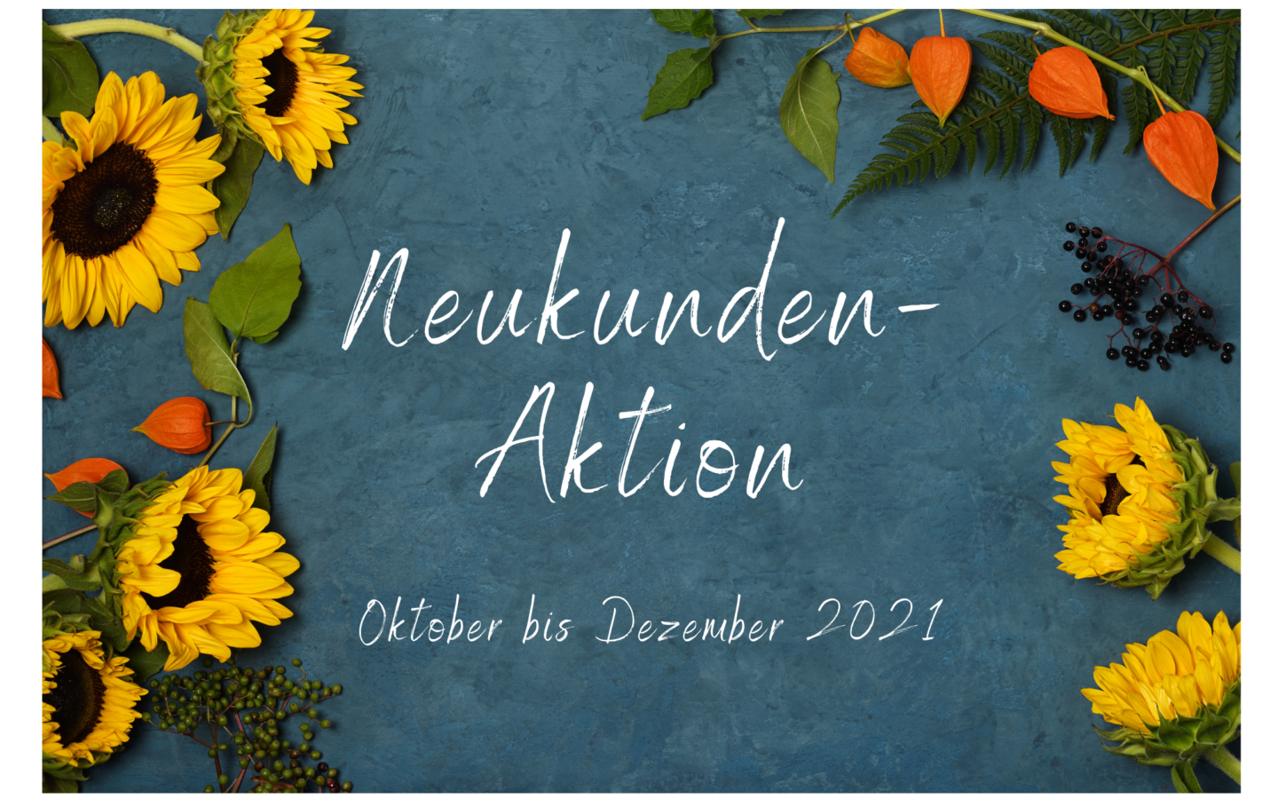 Neukunden- Aktion