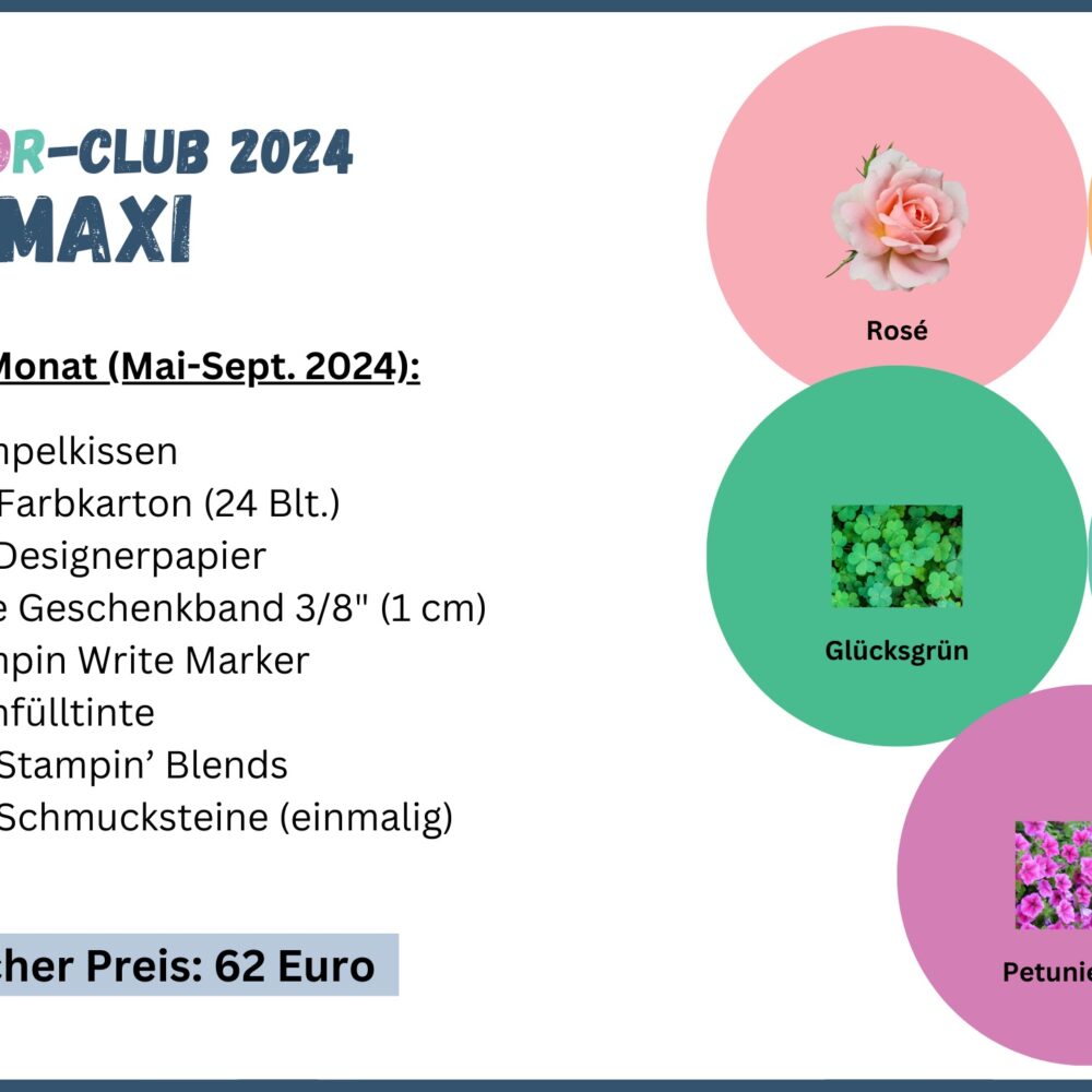 InColor-Club – Mini – 3