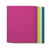 in-color-2017-2019