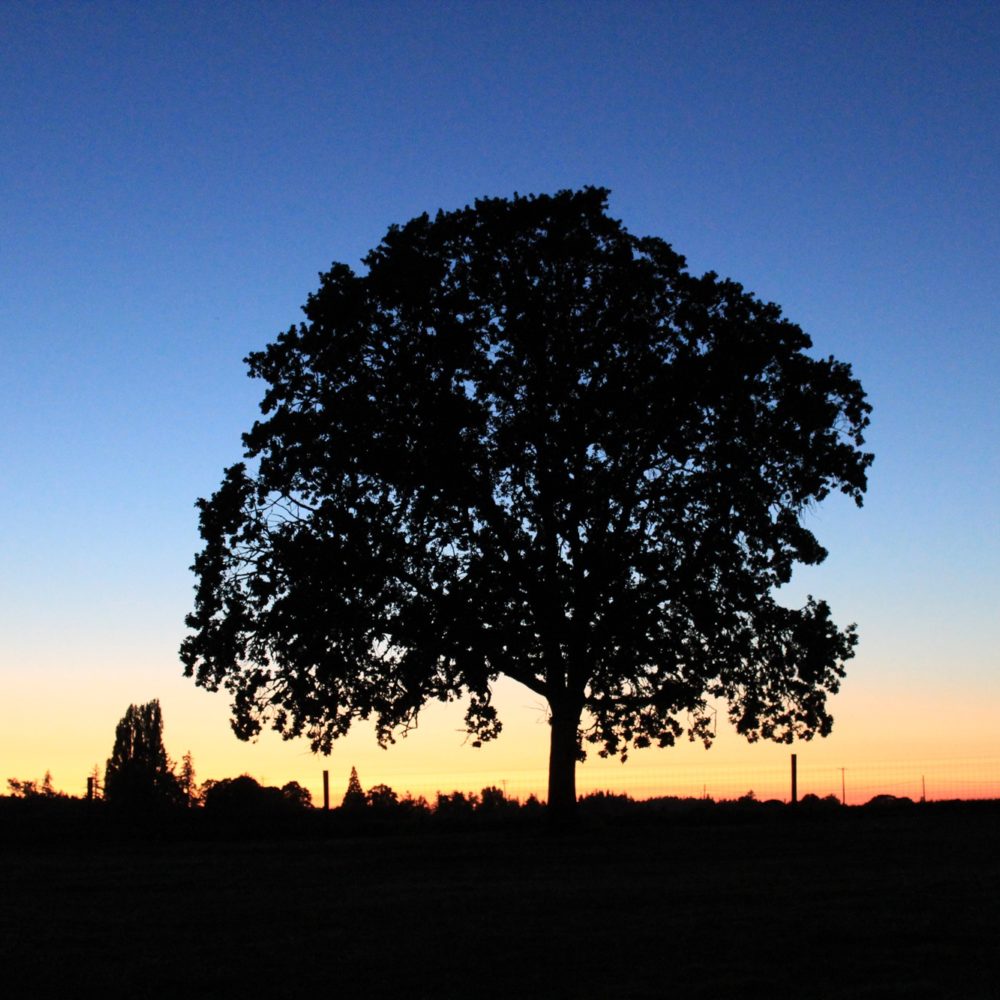 Sonnenuntergang