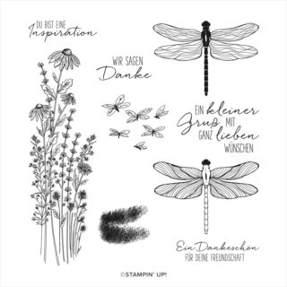 Libellengarten